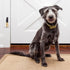 REGIROCK Dog Doorbell - Premium Quality Training Potty, Great Dog Bells Door Bell, Dog Puppy Bells for Potty Training