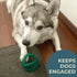 6" 3" 4" Alpha - Pacifier - Durable Long-Lasting Rubber Dog Fetch Chew Toy for Training - Choose Your Color - L W H