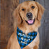 Family Kitchen Promoted to Big Brother Dog Bandana - Blue Plaid Triangle Pet Scarf for Gender Reveal