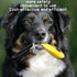 Frienda 9 Pieces Dog Training Clicker with Wrist Strap for Behavioral Training Dogs Cats Birds