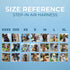 Best Pet Supplies - All Weather Mesh Reflective No Pull Harness for Small & Medium Dogs, Turquoise, Size L