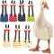QBLEEV Pet Cole Duck Diapers for Baby Ducks, Chicken Diapers for Real