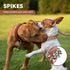 Adjustable Spiked Soft Leather Dog Cat Collar for Female Male, Brown, Anti Bite Studded for Small Dogs (Brown, XS)