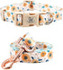 Elegant little tail Dog Collar with Leash, Sunflower Print Adjustable Collar for Small Medium Large Dogs, Soft Puppy