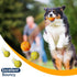 Leyndo 10 Pack Dog Balls for Aggressive Chewers - 2.5" Interactive Tennis Balls for Dogs of All Sizes