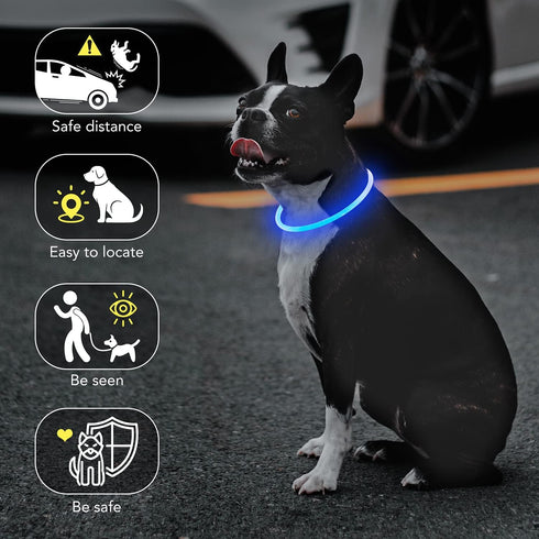 LED Dog Collar Light Up, USB Rechargeable TPU Glow Safety Basic Collars for Large Medium Small Dogs (Blue)