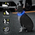 LED Dog Collar Light Up, USB Rechargeable TPU Glow Safety Basic Collars for Large Medium Small Dogs (Blue)