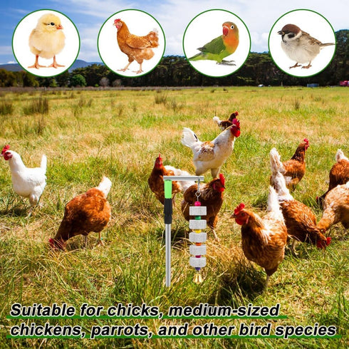 Kalekey 2 Pack Chicken Chewing Toy, Adjustable Chicken Toys for Coop with Volcanic Stone, Multi-Functional Chicken Coop