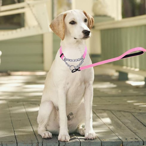 Martingale Dog Collar with Stainless Steel Chain, Martingale Collar with Reflective, Adjustable for Medium Large Dogs (S, Pink)