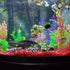 DoubleWood 2 PCS Decaying Trunk Betta Fish Driftwood, Aquarium Caves Fish Tank Wood Decor