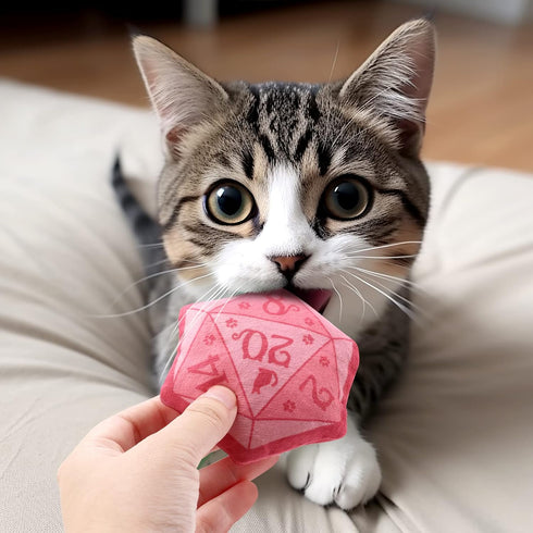 CiyvoLyeen D20 Dice Catnip Toy, Interactive Plush Catmint Toy for DND Role Playing, Set of 5