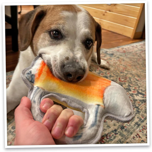 Doggijuana Tuffer Chewer Plush Dog Toy | Funny Dog Toy Plush with Juananip Catnip for Dogs | Calming Aid for Dogs |