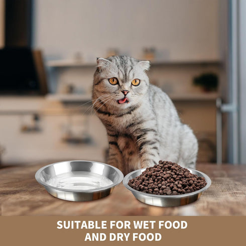 HUOIQUE 10 Pcs Stainless Steel Cat Bowls, 6.2 Inches Whisker Fatigue Cat Dishes for Food and Water