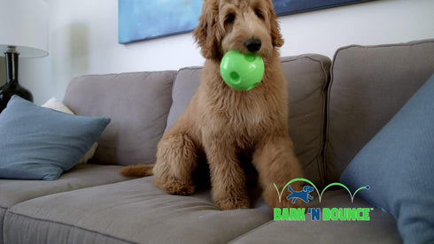The Outdoor Optimist Bark N Bounce Interactive Dog Toys, 6.5in Ball for Large Dogs
