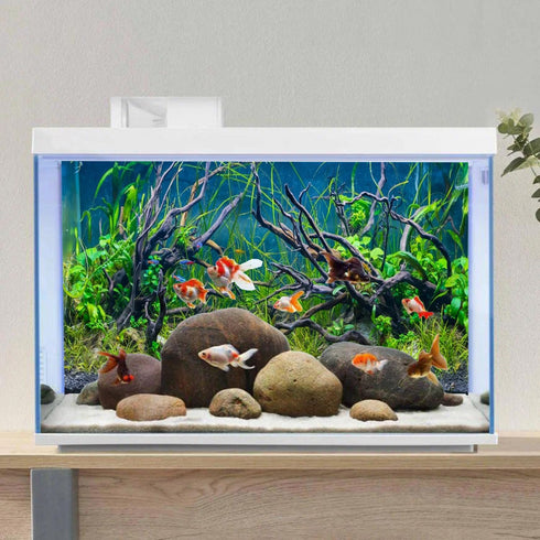 AWERT 60x24 inches Vinyl Tropical Fish Tank Background, River Bed & Lake Aquatic Plant Undersea Tree Branch