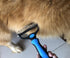 Pet Grooming Brush & Nail Clippers - Double Sided Shedding and Dematting Comb for Dogs and Cats | Safe for Easy Mats