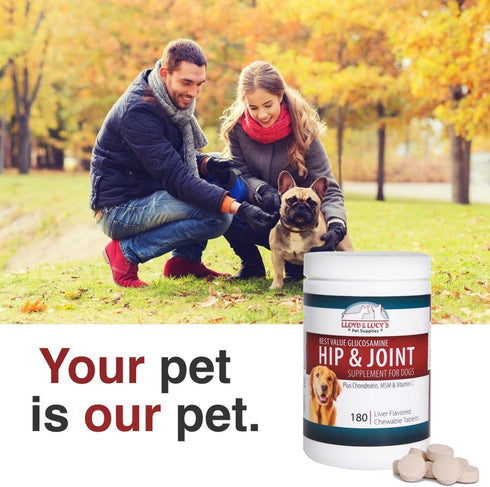 Lloyd & Lucy's Hip and Joint Supplement for Dogs, Chewable Multivitamin with Glucosamine, 180 Ct Tablets