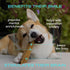 Native Pet Yak Cheese Himalayan Dog Chews, Long Lasting Dental Sticks for Medium Breeds, 100% All Natural, 3 Per Pack