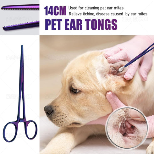 6 1 Dog Grooming Scissors,Purple Curved Chunkers Shears with Safety Round Tips,Sharp and Durable in Dog Scissors
