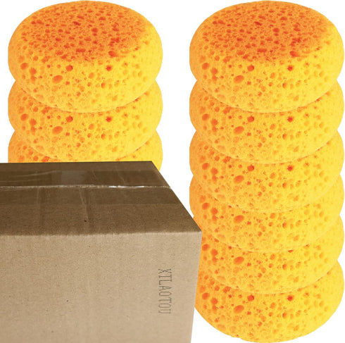 12 A Box of Tack Sponges (coarse Holes)