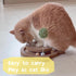 Cute Cat Scratcher,Interactive Scratcher Toys for Indoor Cats and Kitten Natural Sisal Cat Scratch Mats Track Balls