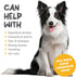 maxxipaws maxxicalm Natural Calming Supplement for Dogs - 120 Tablets, Non-Drowsy