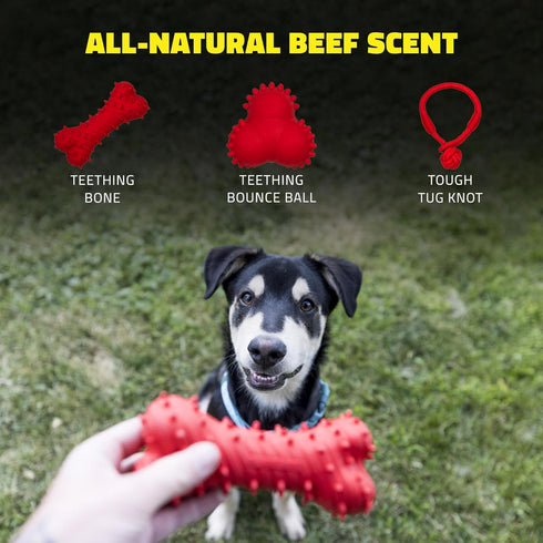 Playology Puppy Teething Bone Dog Toys, Small - Chew Toys with Squeaker for Puppies 4-8 Months, Engaging All-Natural