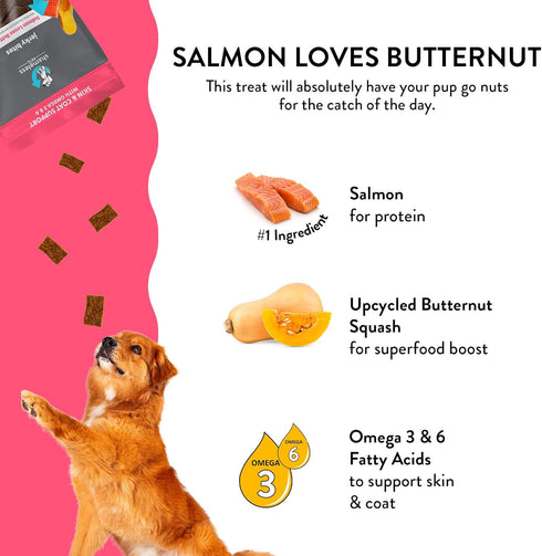 Shameless Pets Jerky Dog Treats, Salmon Loves Butternut, Healthy Chews for Skin & Coat, 1-Pack