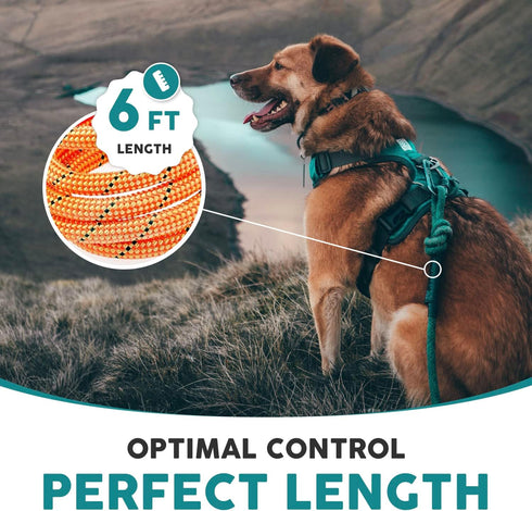 Embark Adventure Pro Leash, 6ft Mountain Climbing Rope with Carabiner, Colourful Nylon Dog Leash for All Breeds