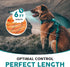 Embark Adventure Pro Leash, 6ft Mountain Climbing Rope with Carabiner, Colourful Nylon Dog Leash for All Breeds