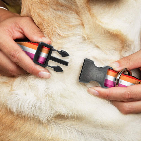 Dog Collar Plastic Clip Flag Lesbian Five Stripe Oranges White Pinks 9 to 15 Inches 1.0 Inch Wide