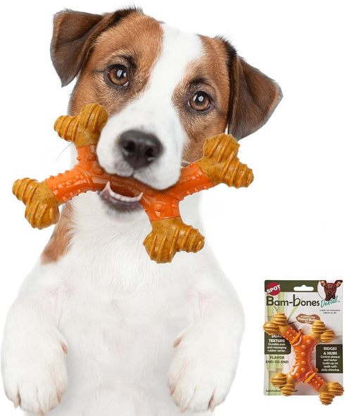 SPOT Bam-Bones Dental X-Bone, Made with Bamboo Fiber, Durable Oral Care Chew for Light Chewers, 6in