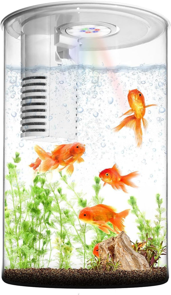Fish Tank Night Light, 3 Gallon Fish Tank with Filter and Light,