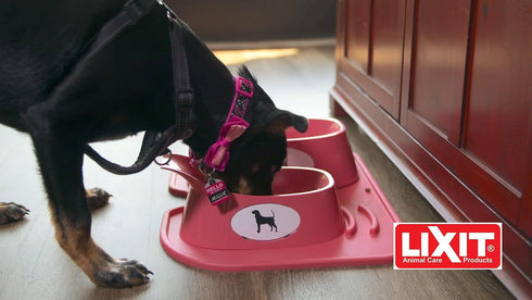 Lixit Ergonomic Bowls for Dogs with Long Ears (Coral, Large)