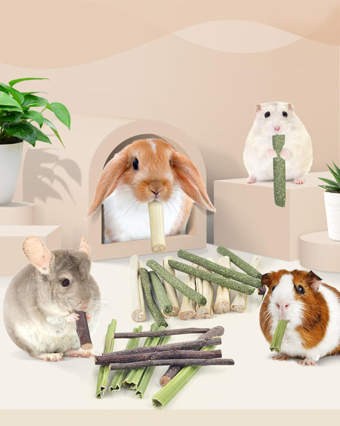 60 Chinchilla Bissap PCS Rabbit Chew Sticks, Sweet Bamboo Timothy Hay Chew Stick Papaya Stems Apple Branch Bunny Chews