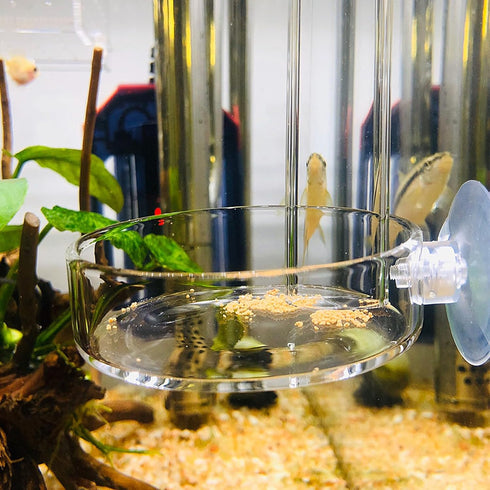 Aquarium Glass Feeder, Shrimp Feeding Dish, Round Clear Fish Tank Food Tray Container with Suction Cup, 65mm