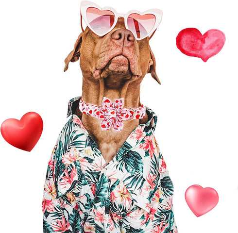 Valentine's Day Dog Collar with Flower, Adjustable Pink Flower Collar for Medium Small Large Dogs, Girl Pet Gift
