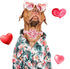Valentine's Day Dog Collar with Flower, Adjustable Pink Flower Collar for Medium Small Large Dogs, Girl Pet Gift