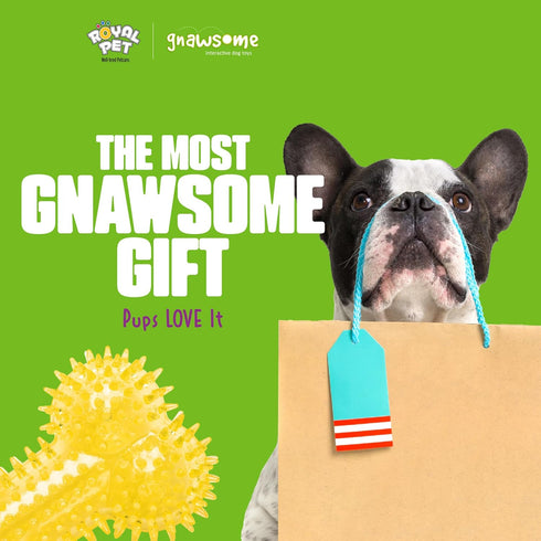 Gnawsome 6.5” Spiky Squeaker Bone Dog Toy, Medium, Durable for Heavy Chewers, 100% BPA-Free