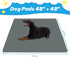 DOPLUSDO 48"x48" Washable Pee Pads for Dogs Reusable Puppy Pad Pet Training Pads, Waterproof Mat Non-Slip, Dog Pee Pad