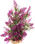 CNZ Aquarium Decor, Artificial Plastic Plant Green/Purple, 11.8-inch Fish Tank Decoration Ornament