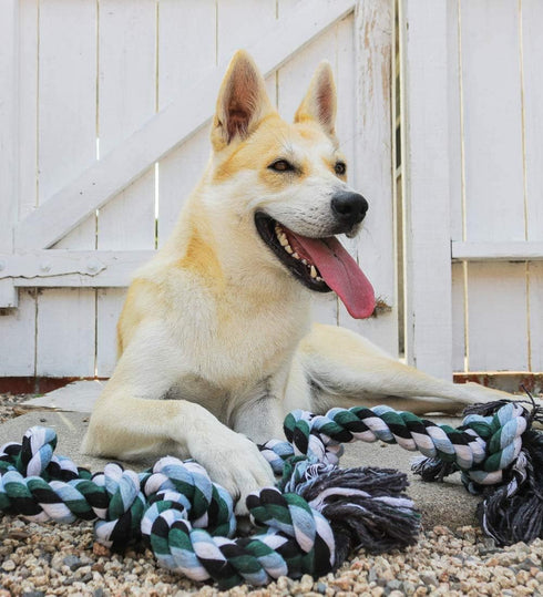 Giant Dog Rope Chew Toys for Extra Large Dogs | 42 Inch, 6 Knot Tough Toy for Aggressive Chewers