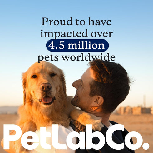 Petlab Co. Itch Relief Mousse - Dry Dog Shampoo for Moisturizing, Deodorizing & Supporting Dry Skin with Quick-Dry