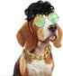 3 Pieces Dog Cosplay Wig, Cat Wigs, Classic Funny Pet Accessories Include 3 Pieces Retro Pet Round Sunglasses and 1