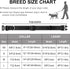 Dynmeow Reflective Dog Collar and Leash Set, 6FT Strong Climbing Rope Leash with Padded Handle for Medium Large Dogs