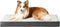 EHEYCIGA Orthopedic Dog Beds for Large Dogs, Removable Washable Cover for Crate, Beige, 35x23
