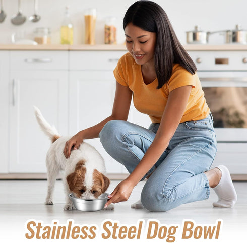 Nuanchu 15 Pcs Pets Bowl Bulk - Stainless Steel Dog and Cat Bowls, Metal Small Puppy Raised Food Dish (15 oz)