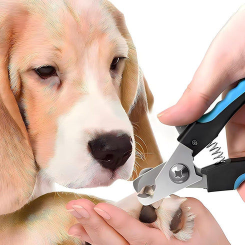 YSYZTXA 4-Piece Ultimate Pet Grooming Kit | Stainless Steel Nail Clipper, Deshedding Brush, Metal Comb & Tools for Cats
