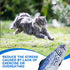 5Pcs Plush Catnip Fish Toy, Cat Chew Toy with Bell Inside for Interactive Kitty Chew Toys, Cat Teething Exercise