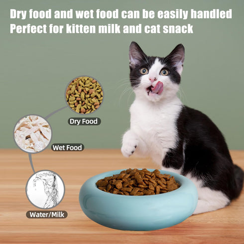 6.1 Inch Cat Bowls - 7 oz Ceramic Food Bowl, Whisker Fatigue Relief, Anti-Vomiting, Perfect for Indoor Cats (Blue)